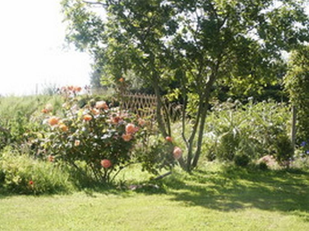 B&B Kerlilou Plouguiel Exterior foto